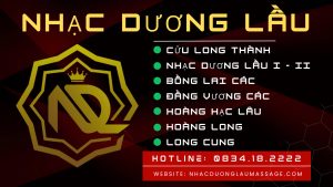 tham gia nhóm nhạc dương lầu